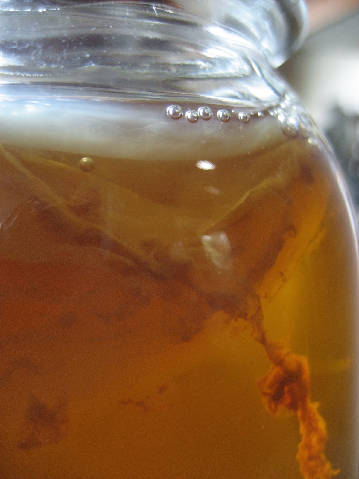 Life at Arbordale Farm Growing Your Own Kombucha SCOBY